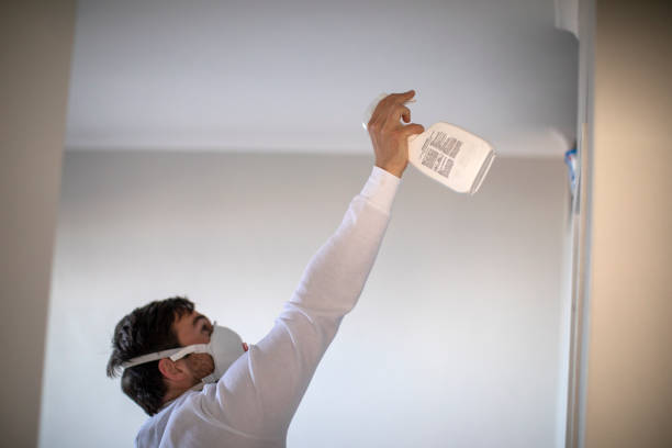 Best Home Mold Removal  in Edgewood, IN